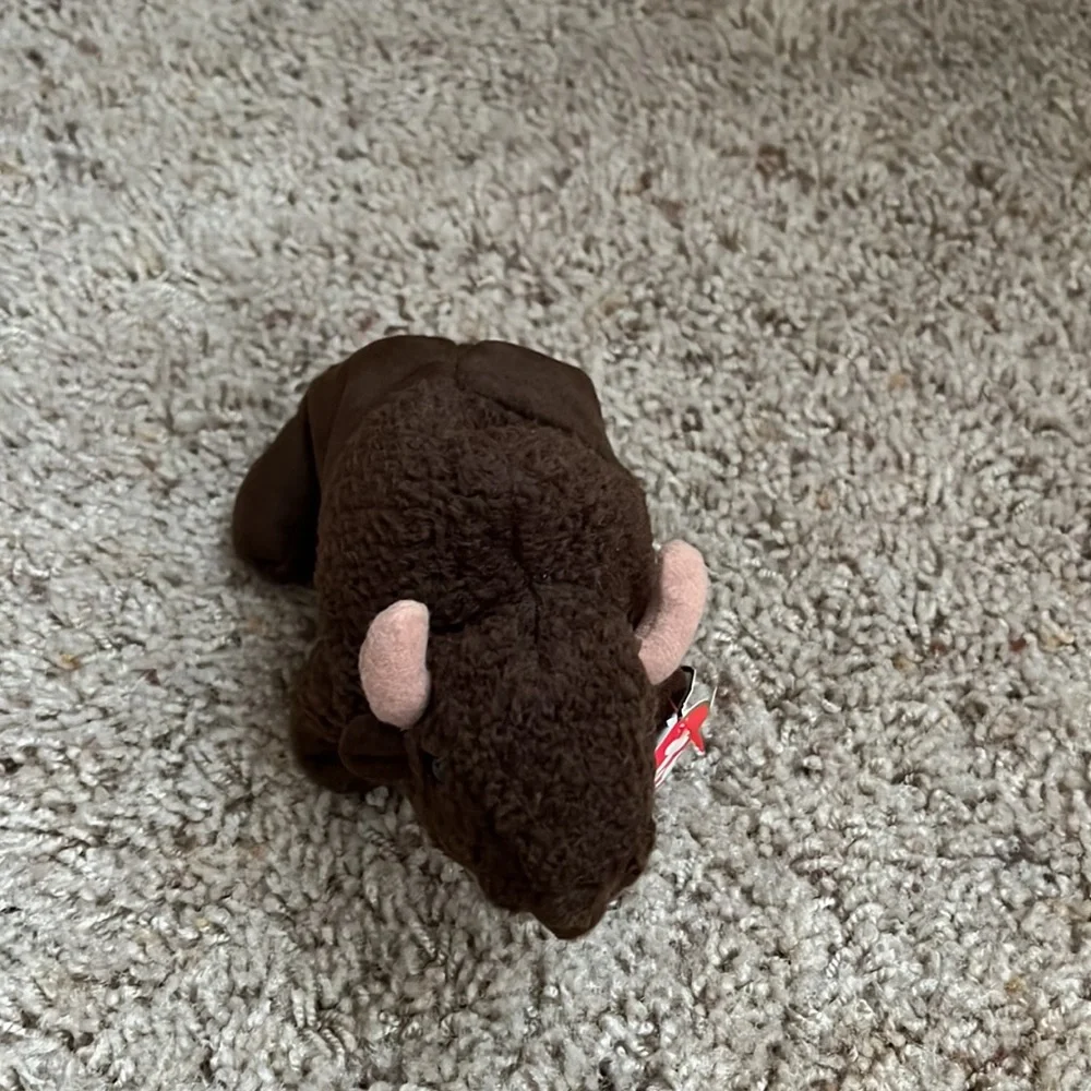 Ty this adorable